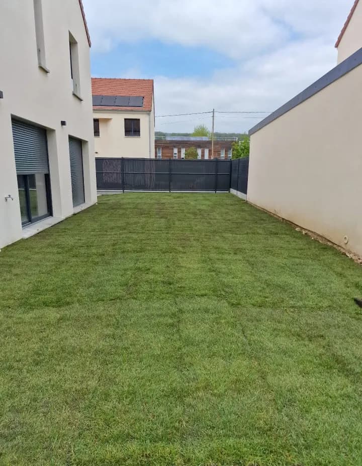 Création de gazon et plantation d'arbustes