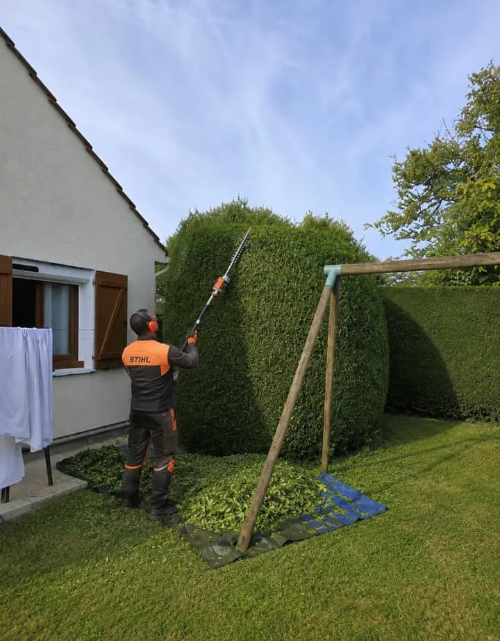 Taille de haie toutes hauteurs