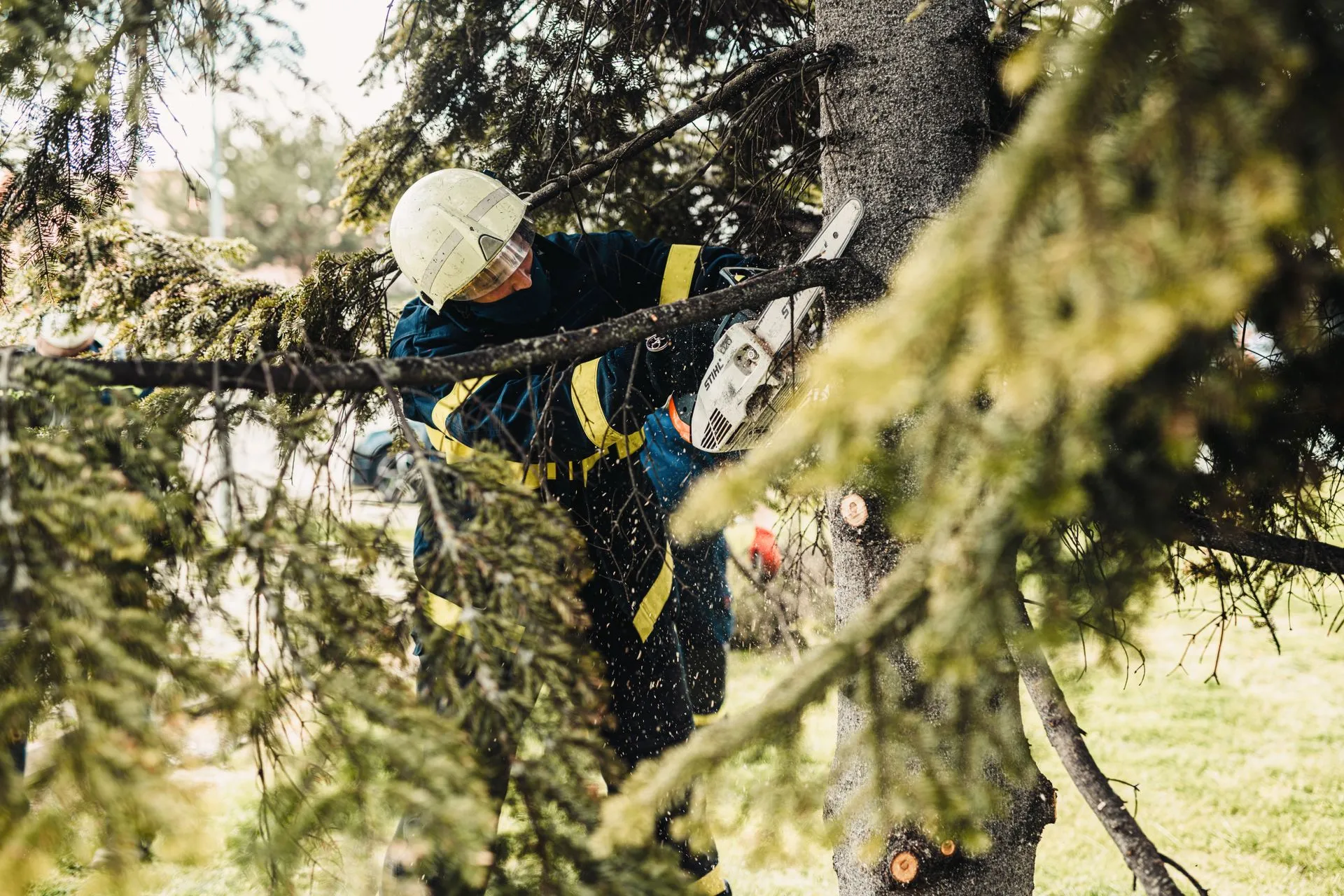Un arboriste professionnel en tenue de sécurité complète, suspendu en hauteur dans un vieux chêne majestueux à Lorient.
